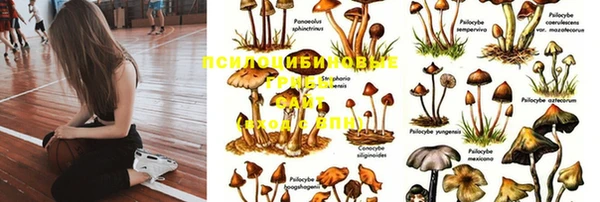 ешки Кулебаки