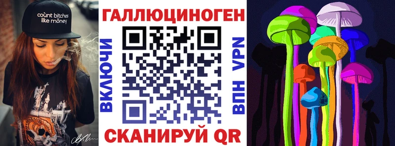 Псилоцибиновые грибы Psilocybe  наркота  Абакан 