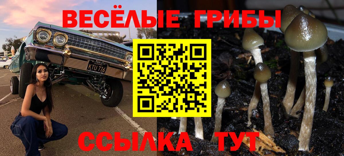Псилоцибиновые грибы MAGIC MUSHROOMS Абакан