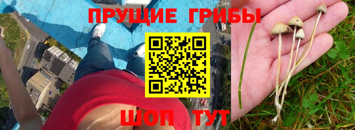 Галлюциногенные грибы мицелий  Вход с VPN  Абакан 